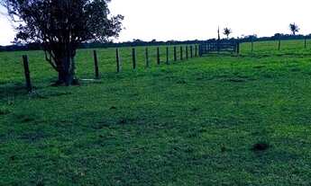 Imagem 4: Venda de 2 fazendas