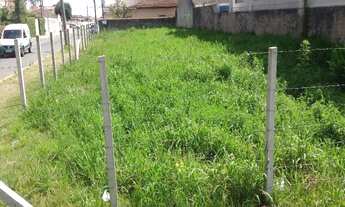 Imagem 7: SÃO JOSÉ DOS PINHAIS - Terreno Padrão - SÃO CRISTÓVÃO