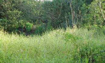 Imagem 4: Porto Alegre - Terreno Padrão - Nonoai