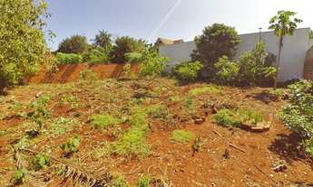 Imagem 5: Toledo - Lote/Terreno - Jardim La Salle