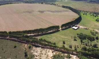 Imagem: Fazenda com irrigação por pivo central