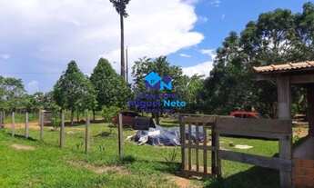 Imagem 3: Vende-se excelente chácara com 2,58 ha à 12 km de Porto Velho