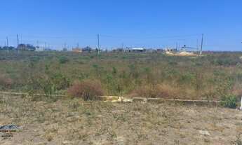 Imagem 3: Passo de Torres - Terreno Padrão - Tapera