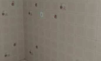 Imagem 11: Bonsucesso - Lindo Sobradinho juntinho Cardoso de Morais