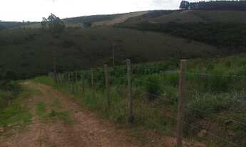 Imagem 6: Lote para chácara