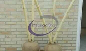 Imagem 5: Casa em Condomínio Fechado para Venda no Bairro City Castelo, 7 suítes, 3 vagas, com 2892