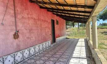 Imagem 3: Imóvel em Lua Nova, Distrito de Matrinchã Go