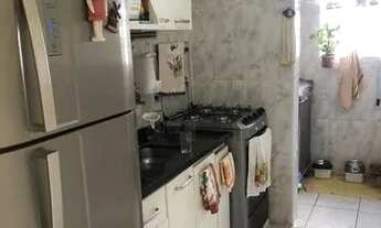 Imagem 5: Apartamento Reformado - 54 m² - 2 Dorms - Jd. Comercial