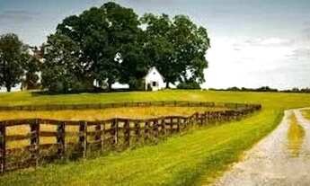 Imagem: Imóvel Rural R$ 200.000,00 a R$ 1.000.000,00