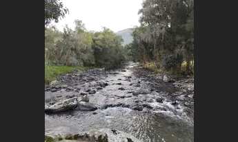 Imagem 2: Sítio 3.000m² em Alfredo Wagner