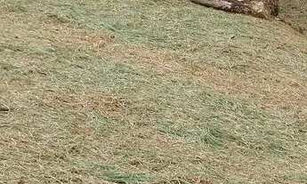 Imagem: Granja Coronel Pacheco