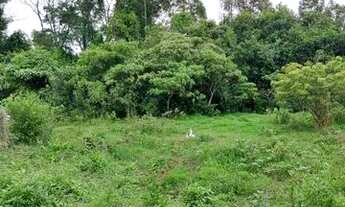 Imagem 6: Chácara em Caldazinha