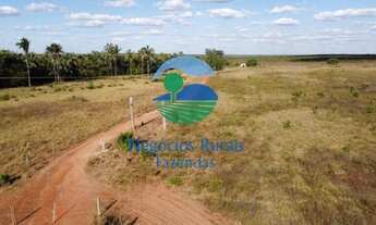 Imagem 2: Fazenda dupla aptidão Norte Tocantins