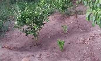 Imagem 7: Casa Casa com 3 dormitórios