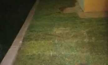 Imagem 3: Casa em Condomínio para Venda em Armação dos Búzios, Praia Rasa, 3 dormitórios, 1 suíte, 3