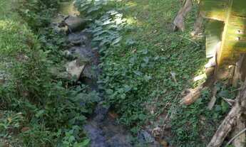 Imagem 5: Terreno a venda/Paraty Grauna