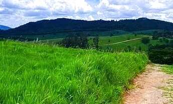 Imagem 4: 29AN-Terreno próx ao rest. Frango D'água