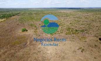 Imagem 5: Fazenda dupla aptidão Norte Tocantins