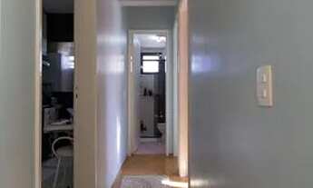 Imagem 7: Apartamento para Aluguel - Vila Sônia, 2 Quartos, 67 m2