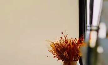 Imagem 7: Casa de condomínio térrea para aluguel tem 150 metros quadrados com 3 quartos