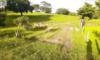 Imagem 3: OPORTUNIDADE FAZENDA 56 ALQUEIRES