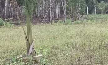 Imagem 5: Terreno 1.800m2 em joinville