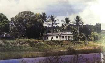 Imagem: /Vendo terreno do BR 174 com 270 hectares