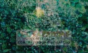 Imagem 3: Fazenda à Venda em Jeremoabo - BA | 33 Hectares