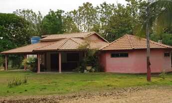 Imagem 5: Fazenda em Campos Lindos. 66 mil por alqueire