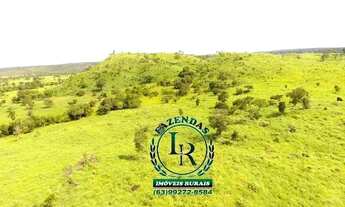 Imagem 7: Fazenda 23 Alqueires Beira Asfalto