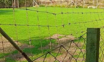 Imagem 4: Linda Chácara em Campo Limpo só R$ 800 mil