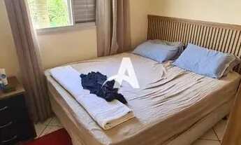 Imagem 7: Aluguel Apartamento SANTA MÔNICA