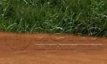 Imagem 7: Área com 756m² disponível para venda no bairro Novo Mundo em Uberlândia-MG