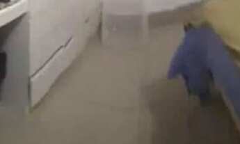 Imagem 4: Vendo ou alugo - mobiliado ou sem mobília - apartamento no Condomínio Ibituruna Prime