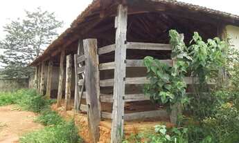 Imagem 6: Baixadão de 15 hectares, com casa antiga, córrego nos fundos, Serra do Cipó