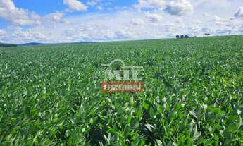 Imagem 2: REPASSE DE ARRENDAMENTO DISPONÍVEL BOM JARDIM (GO