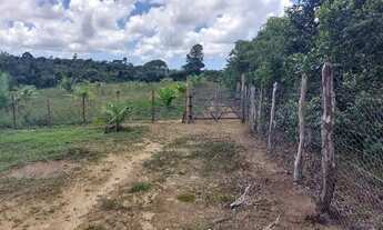 Imagem 6: Sítio linha verde Esplanada 21000m2
