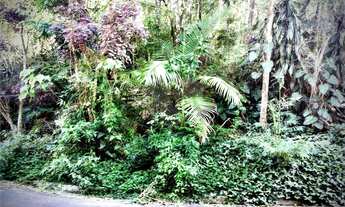 Imagem 4: Terreno à venda em Roseira - SP