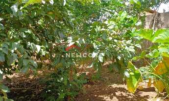 Imagem 6: Lote em Rua Piralite - Dona Zulmira - Uberlândia/MG