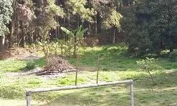 Imagem 2: SÍTIO - SÍTIO DO MORRO - SP