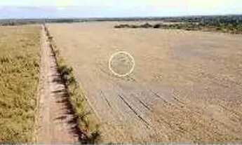 Imagem 4: FAZENDA (353 hectares) NO MUNICÍPIO DE NOBRES MT