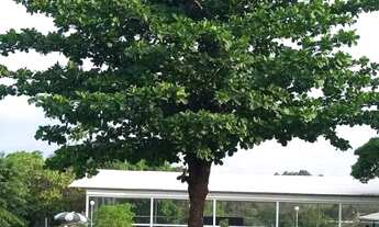 Imagem 5: Chácara à venda no bairro Chácaras São Pedro - Aparecida de Goiânia/GO