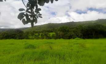 Imagem 5: Fazenda chácara granja confinamento Planaltina DF