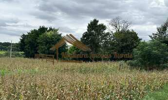 Imagem 6: Sitio com 2 alqueires em Cesário Lange-SP