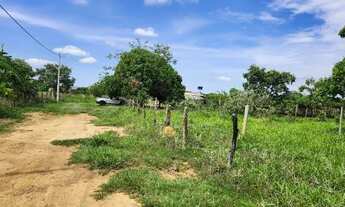 Imagem 5: Duas chácaras juntas em aragoiânia