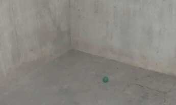 Imagem 3: Casa - jardim muribeca