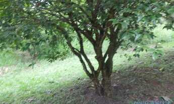 Imagem 5: TERRENO - JARDIM ESTÂNCIA BRASIL - SP