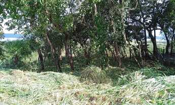 Imagem 4: Terreno no Condomínio Pontal Náutico Do Manso