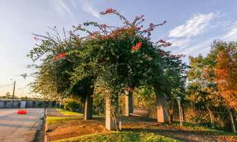 Imagem 5: Terreno 549 m2 na cidade