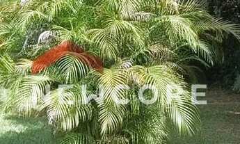 Imagem 6: Sítio em Rua Maria Alvarenga Magalhães - Central Park - Vespasiano/MG